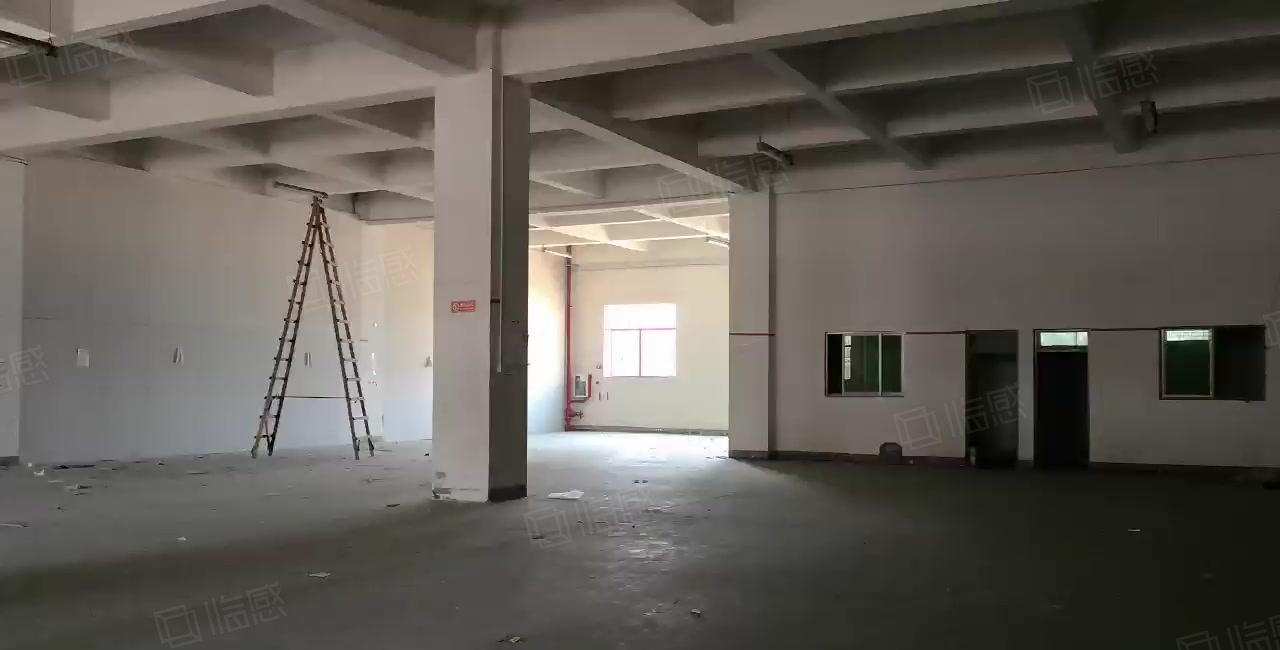 厚街新出超高7.5米标准一楼5400平方 工业园厂房大小可分