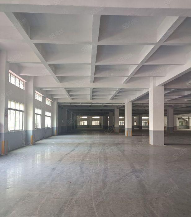 出租厚街形象好的单一层独院厂房，全新精装修车间，空地大好停车