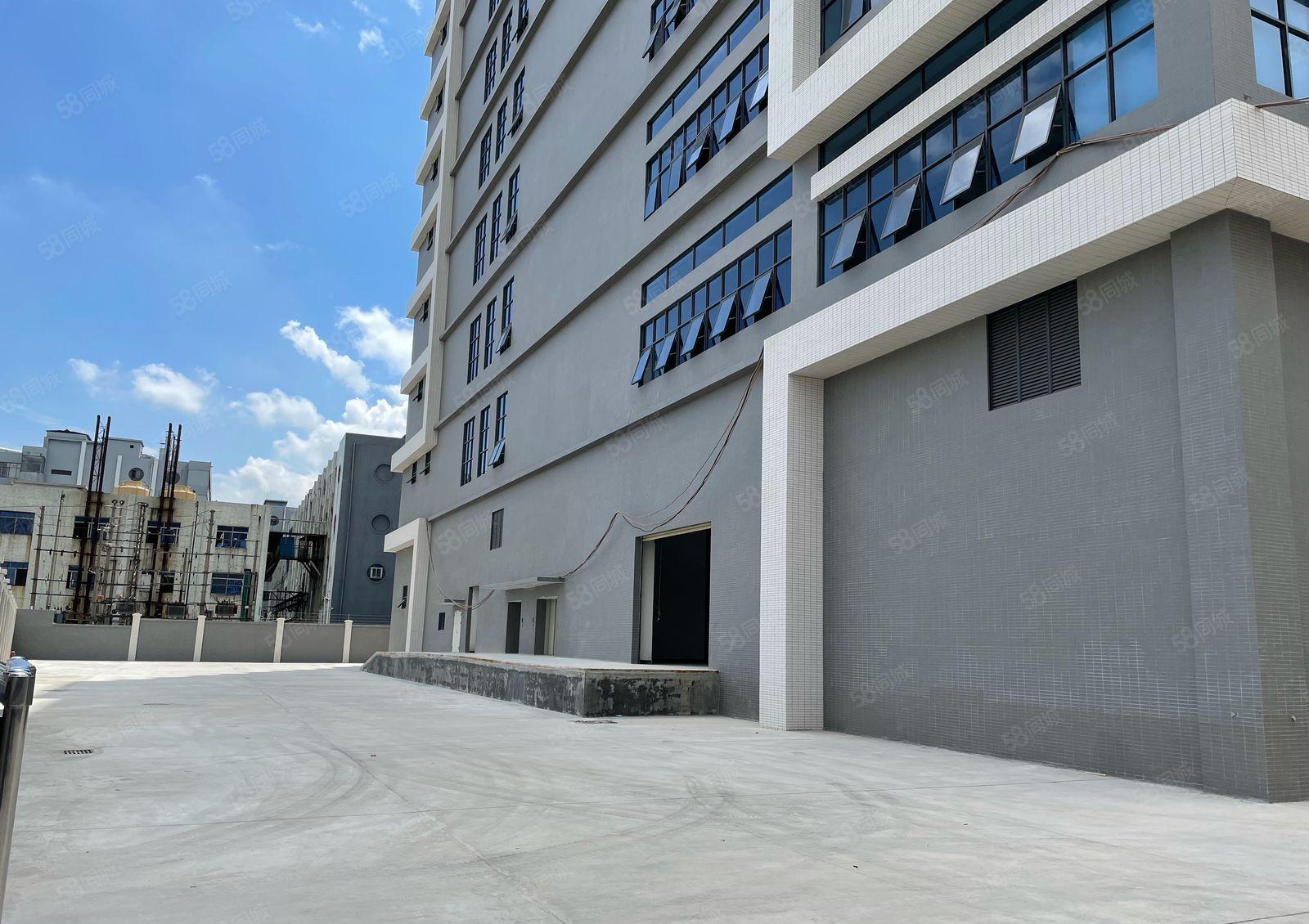 厚街全新红本独院厂房9万平方，大小可分租