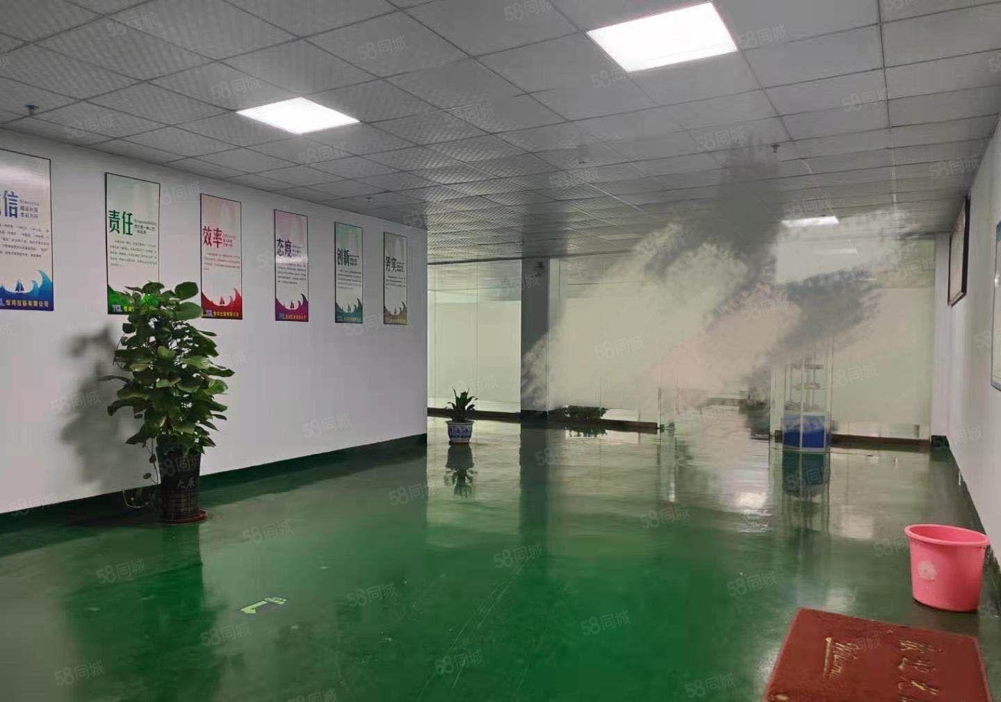 厚街原房东1725平方一楼6.5高精装修形象好水电齐全厂房