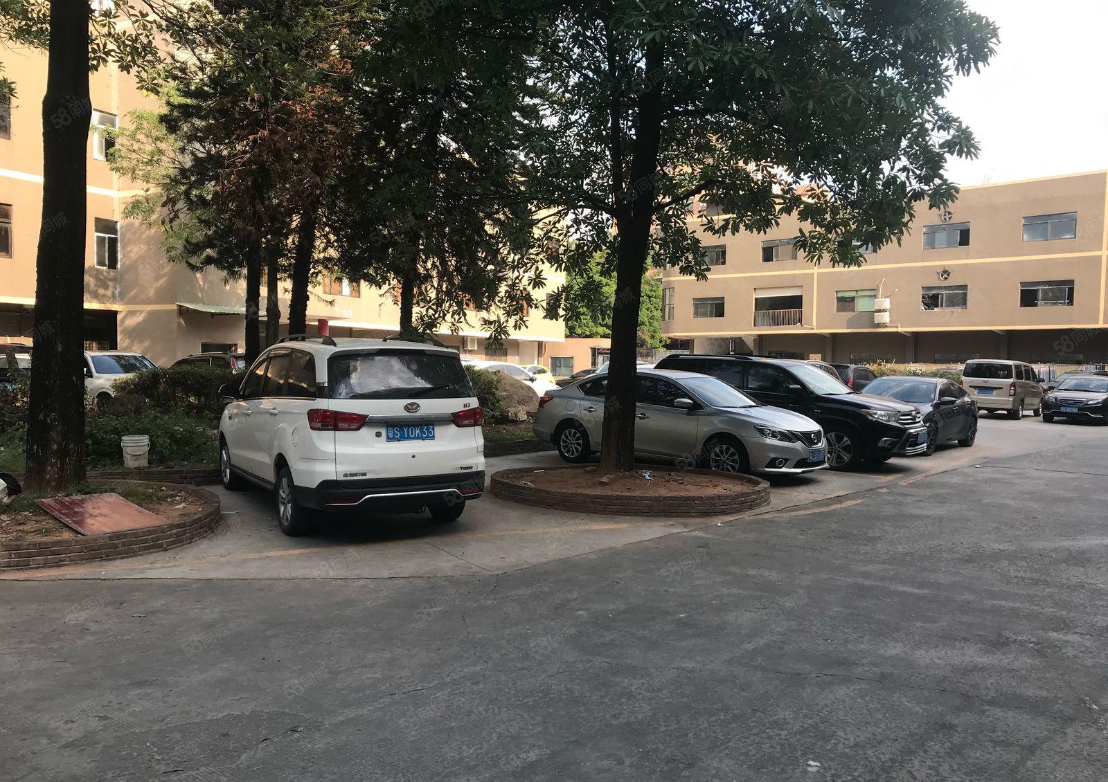 厚街花园式厂房一楼3000方，现成鞋材环评