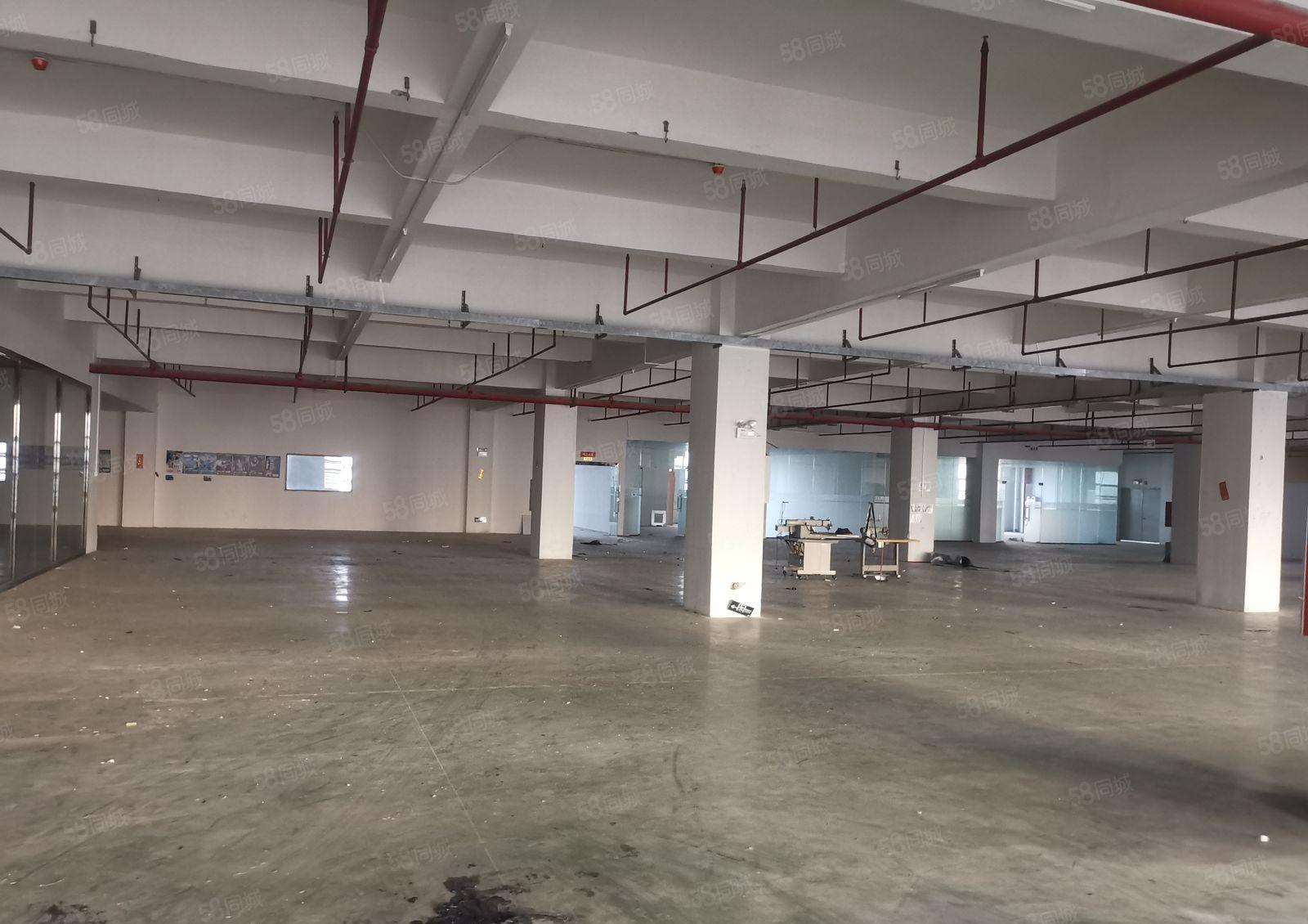 厚街新出花园式厂房楼上分租一层3000平方招租水电齐全有装修