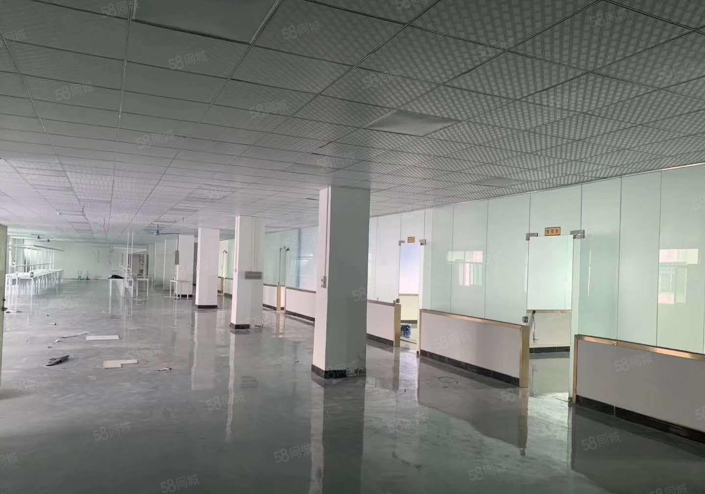 东莞市厚街镇原房东成熟园区独院厂房9780方交通方便可办环评