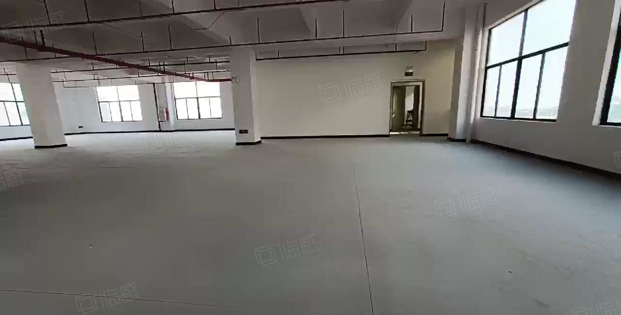 环评秒过 厚街重工业厂房出租8万平 可分租 仓库出租