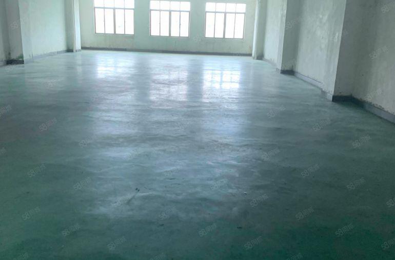 厚街桥头方便卸货电商仓库一层一户350平方带货梯