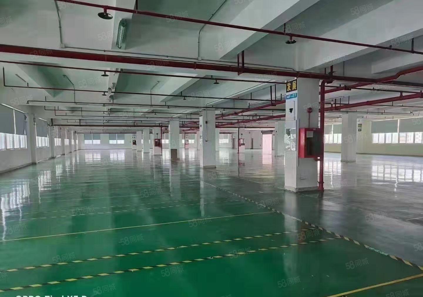 厚街新出独门独院厂房仓库出租4500平方大小可分租水电齐全