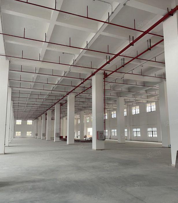 厚街新出原房东全新厂房15000平米，带卸货平台，滴水9米