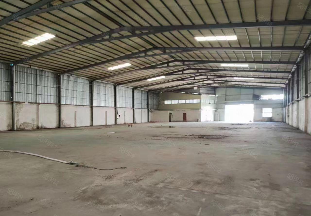 厚街单一层钢结构厂房仓库出租3100平方可分租水电线路齐全