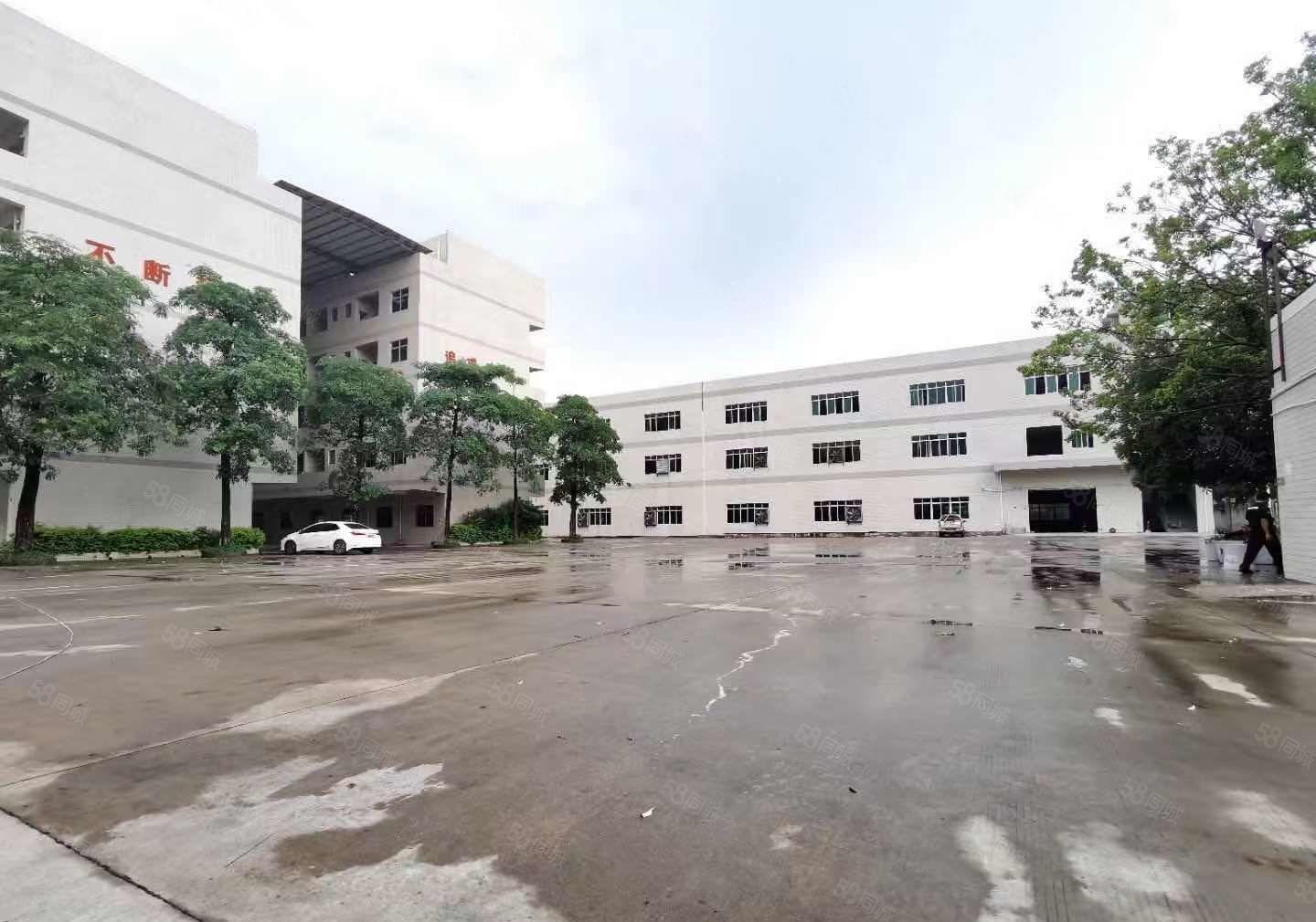 厚街新出花园式独门独院厂房招租