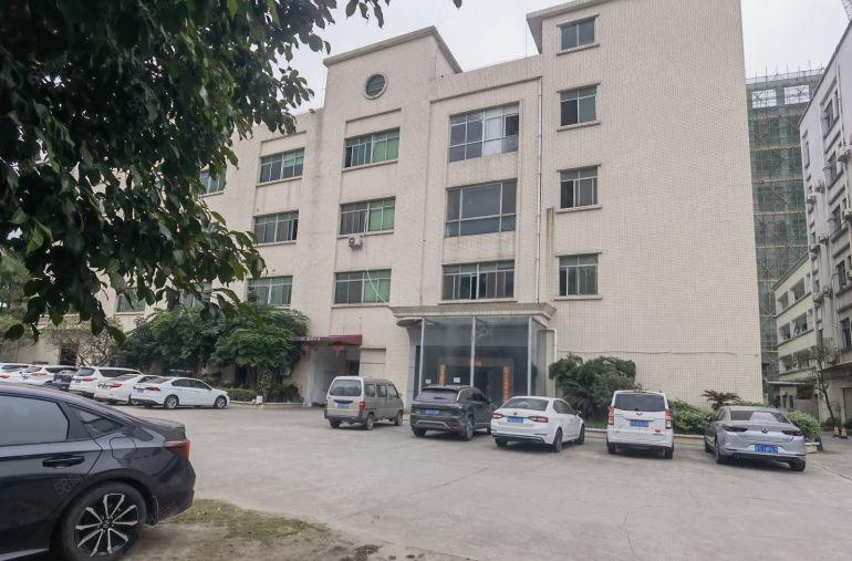 厚街三屯带精装修1800平米厂房出租适合鞋业电子电商仓库组装