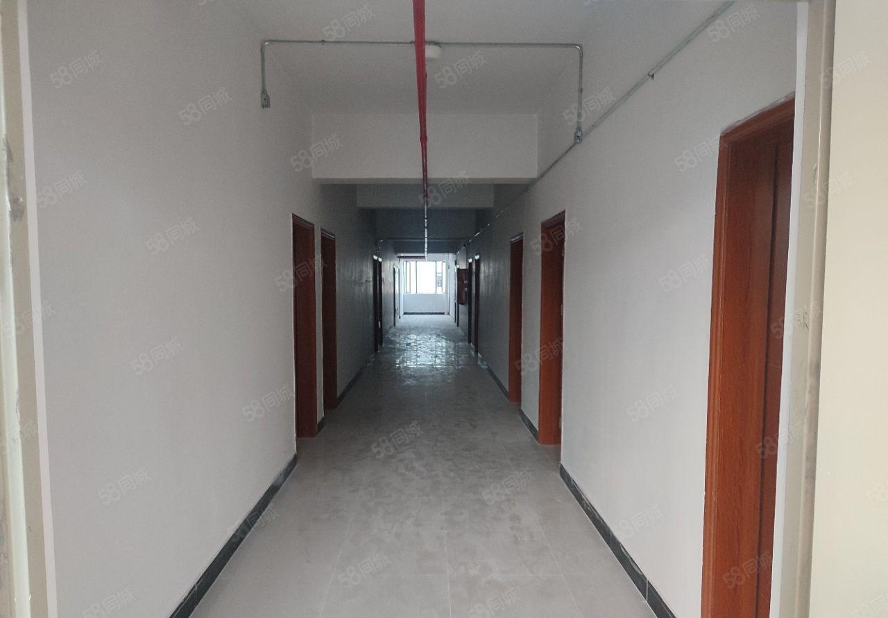 厚街新出全新重工业产业园15000平方一楼高7.5米按栋出租