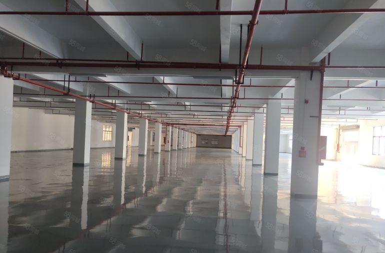 厚街 独院厂房 可分租两个小独院 适合电子 医疗 机械 注塑