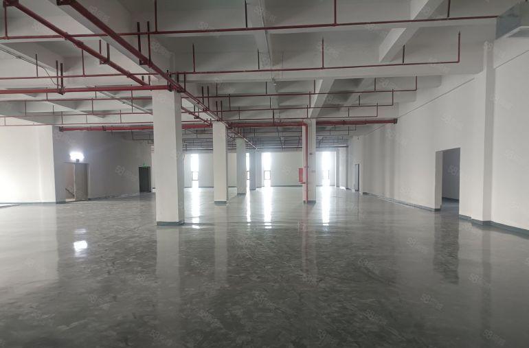 厚街全新厂房低价9.9块超长免租期现成地坪漆300平方起租