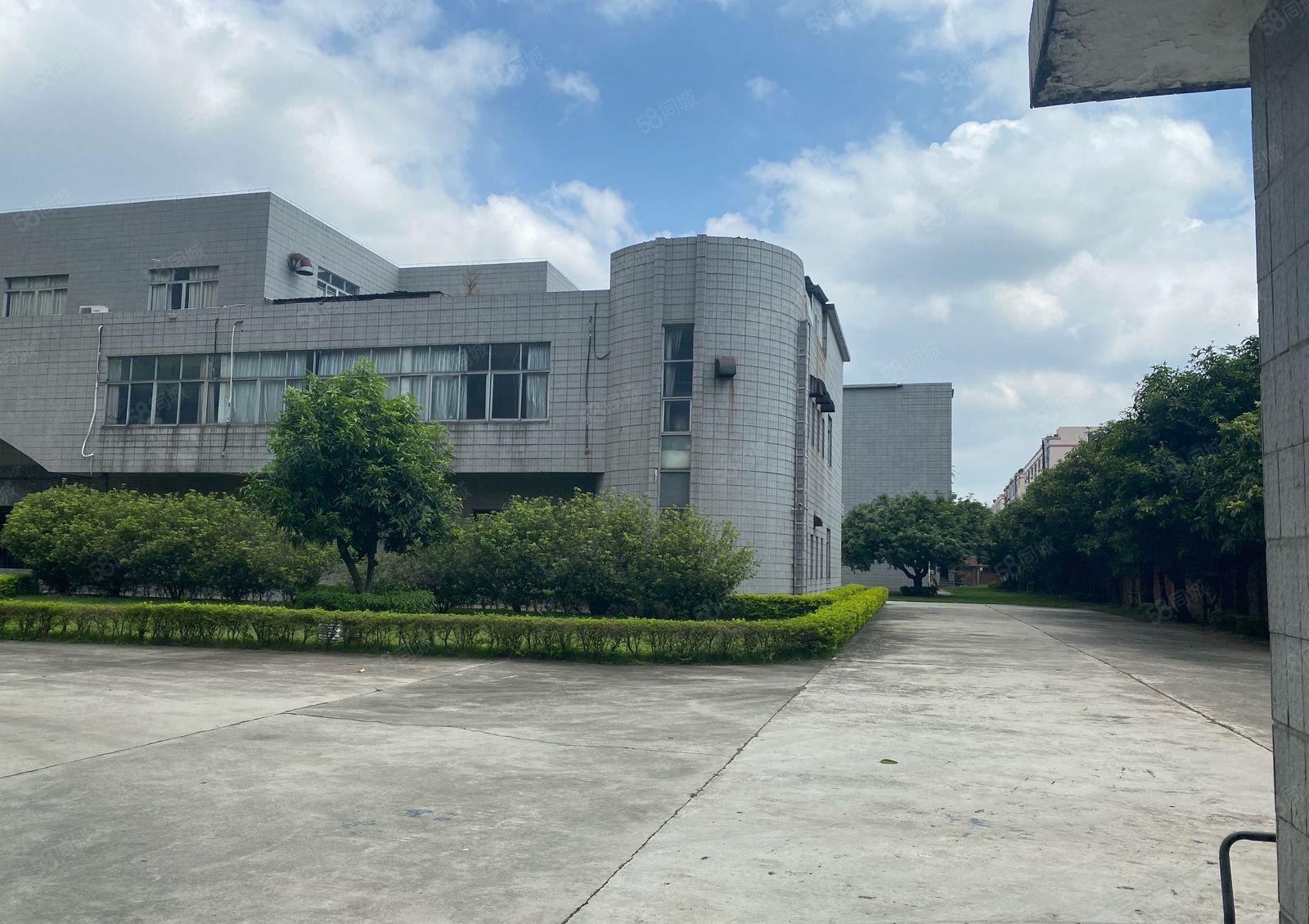 厚街新出花园式厂房空地超大1万平方