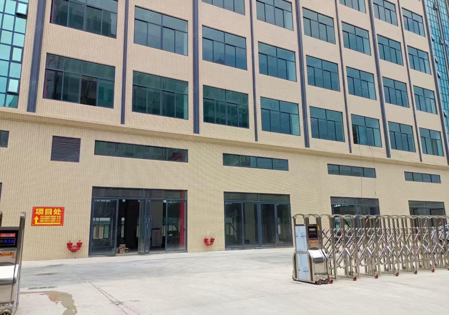 厚街新建厂房单层2800平方，一楼7米带牛角