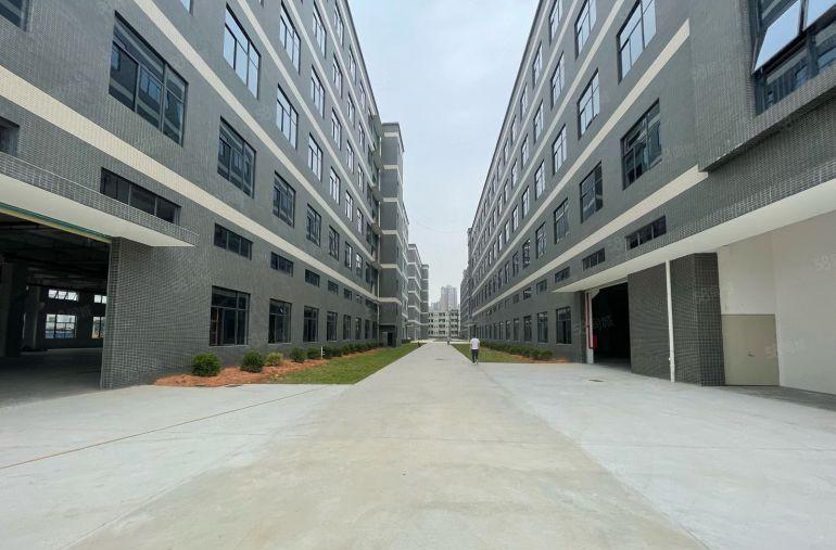 厚街原房东高新产业园5万方厂房出租（1000方起租）