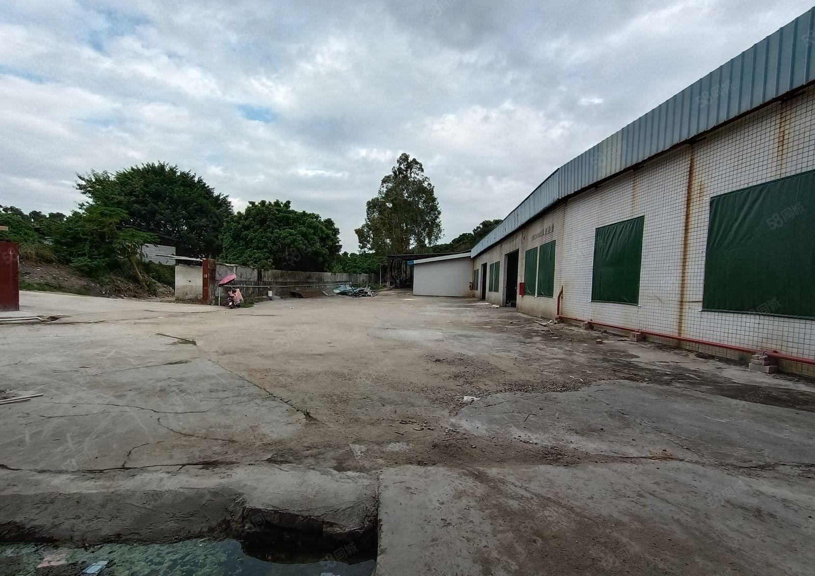 原房东直租 厚街独院厂房出租2000平 仓库出租可分租带尺量