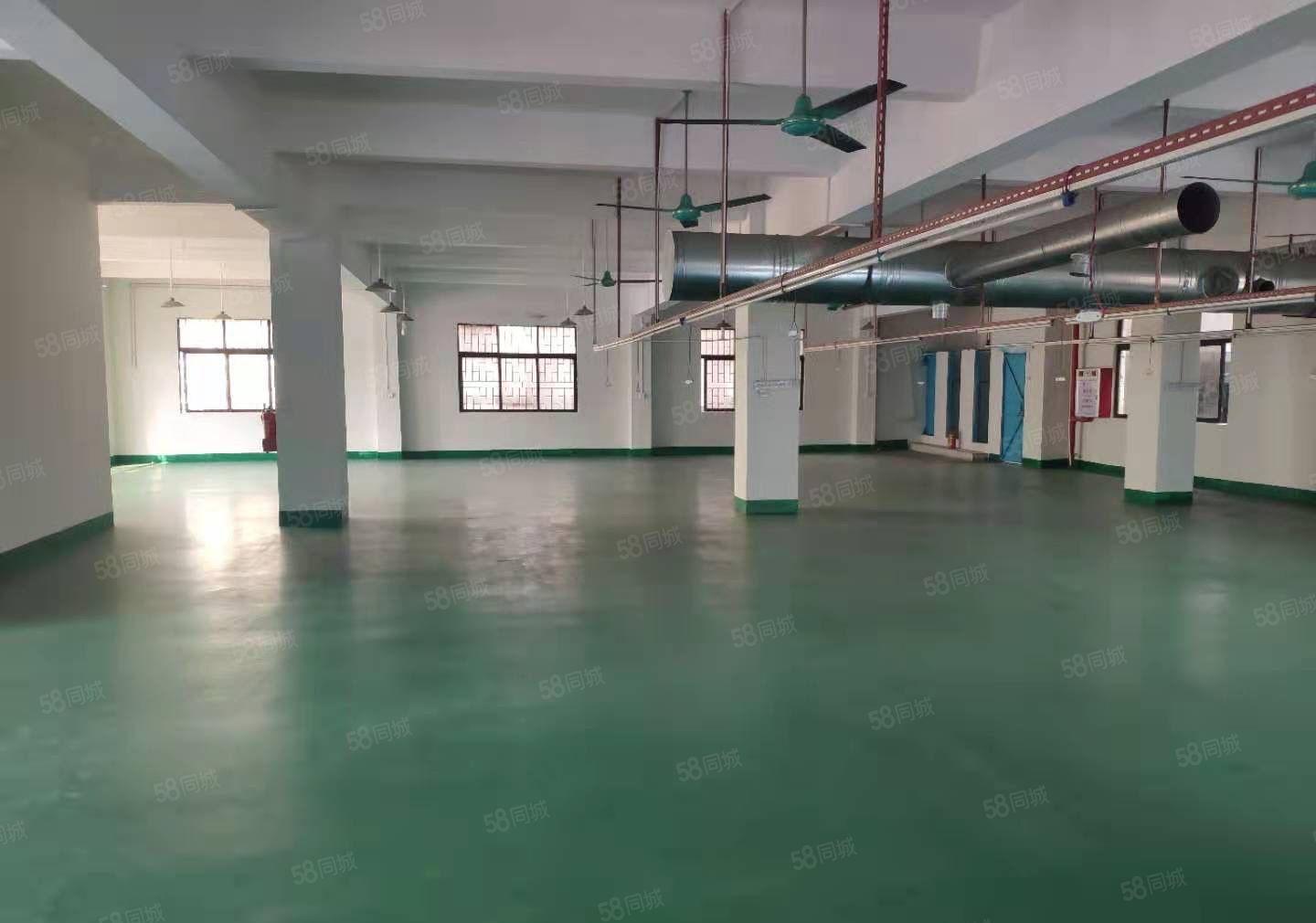 一手房东厂房出租出租仓库800平实际面积，水电办公室现成装修