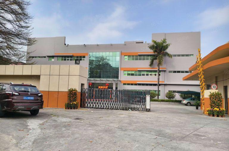 大岭山原房东标准独院厂房出租 13000平大小可分