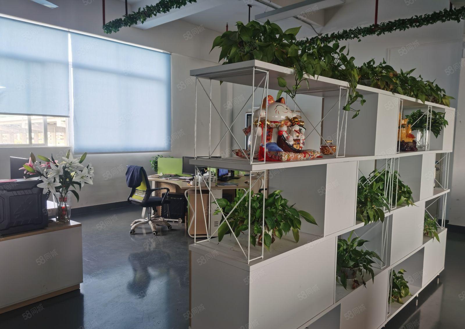 精装修办公室1350平方厂房