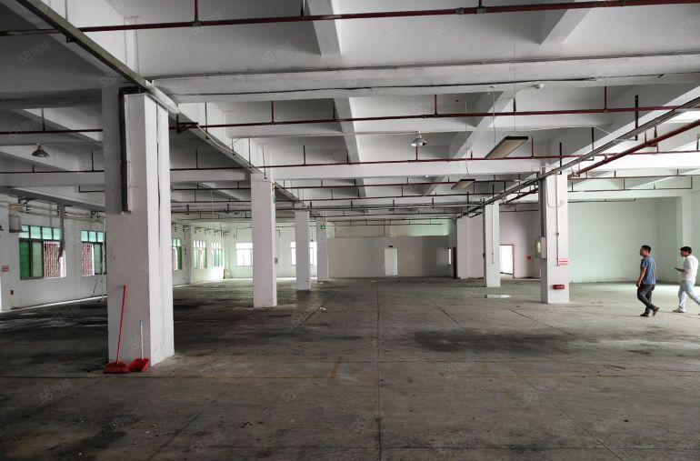 厚街一楼1560平厂房 形象好 空地大 适合鞋材 模具 五金