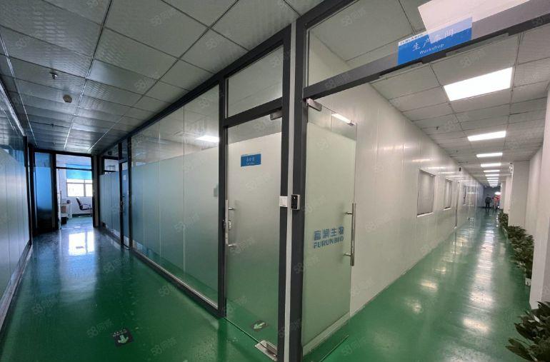 东莞厚街600至4万平精装修钢构无尘车间低价厂房仓库空地出租