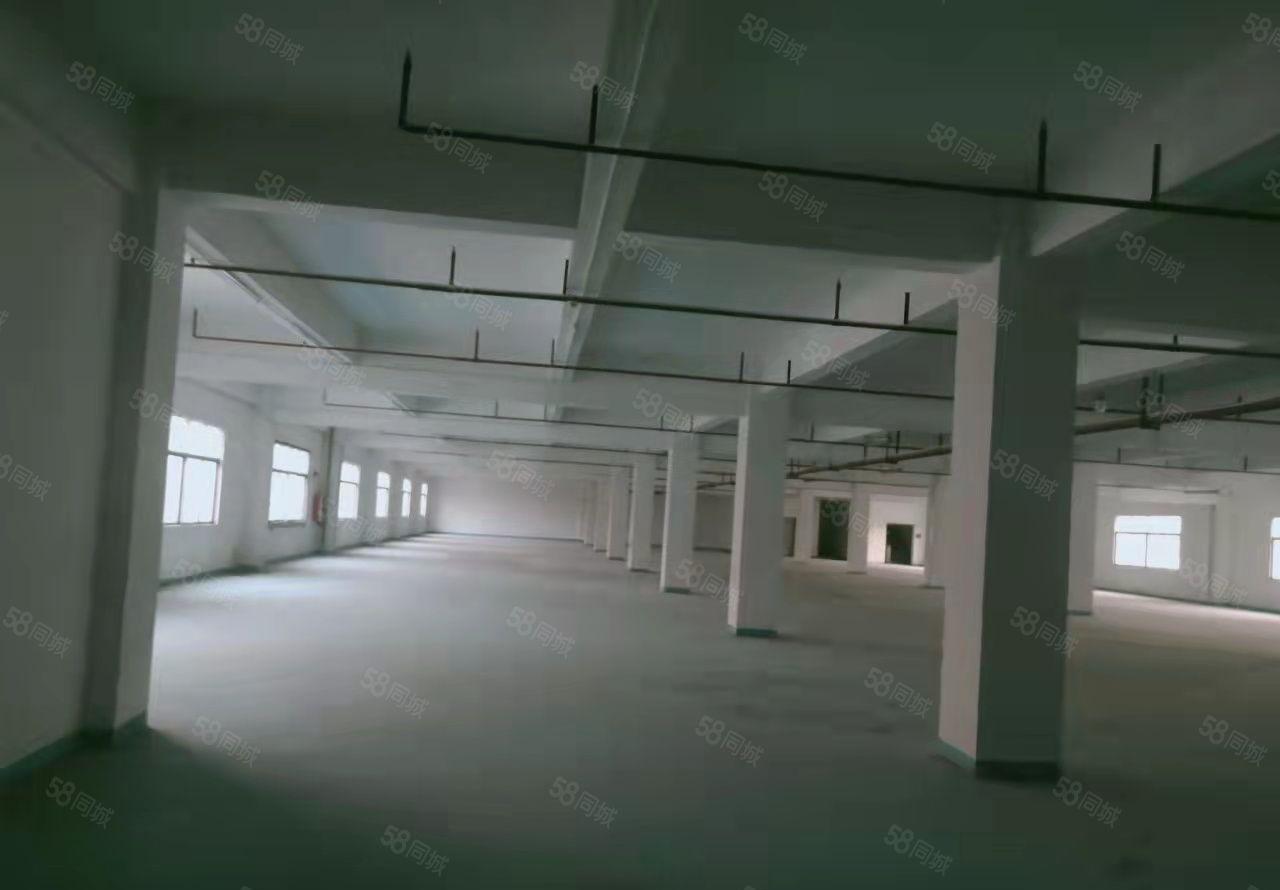 厚街整层2700平方可分租独立变压器两台三吨货梯卸货平台