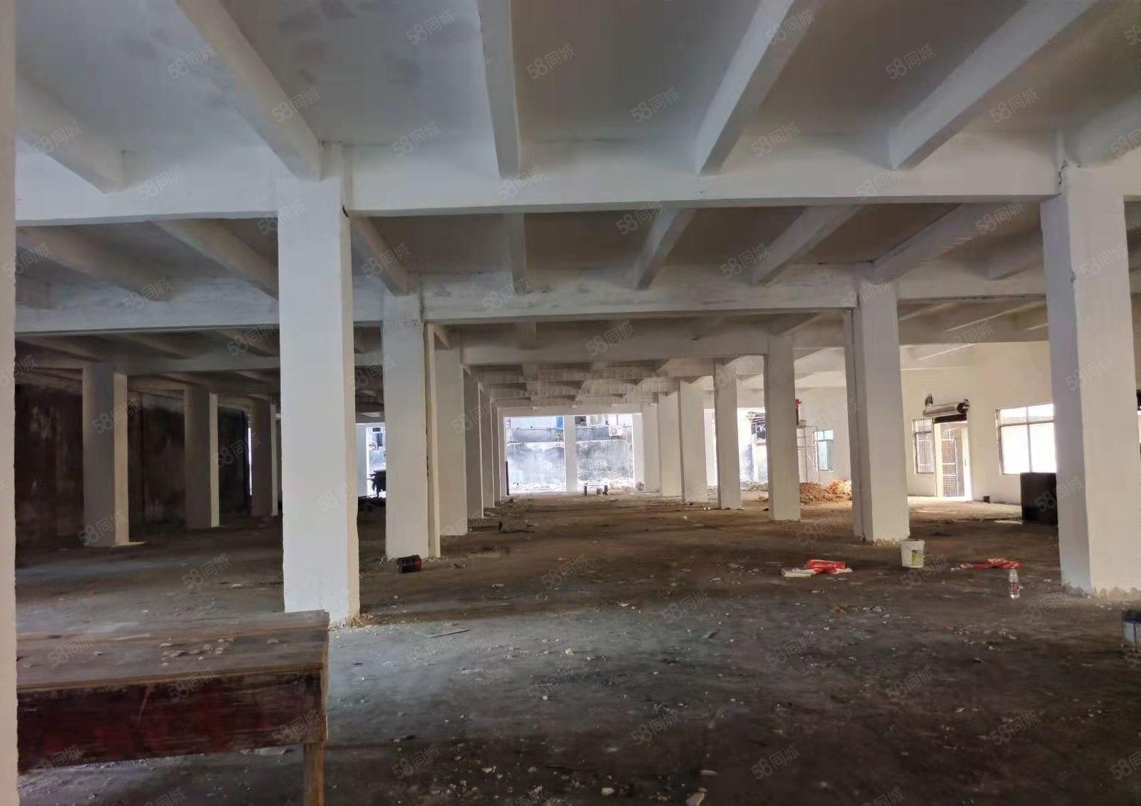 厚街三屯伦品涌大道空出一楼准备厂房2688平方水电齐全