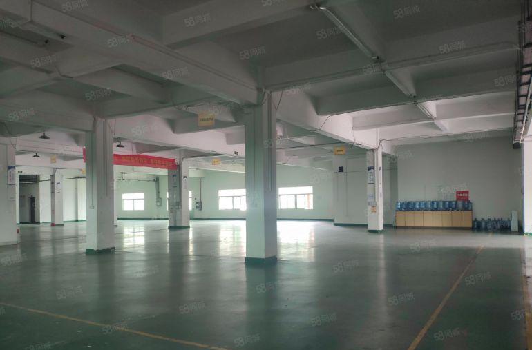 可分租！厚街汀山工业园新空出一楼2500平厂房出租仓库