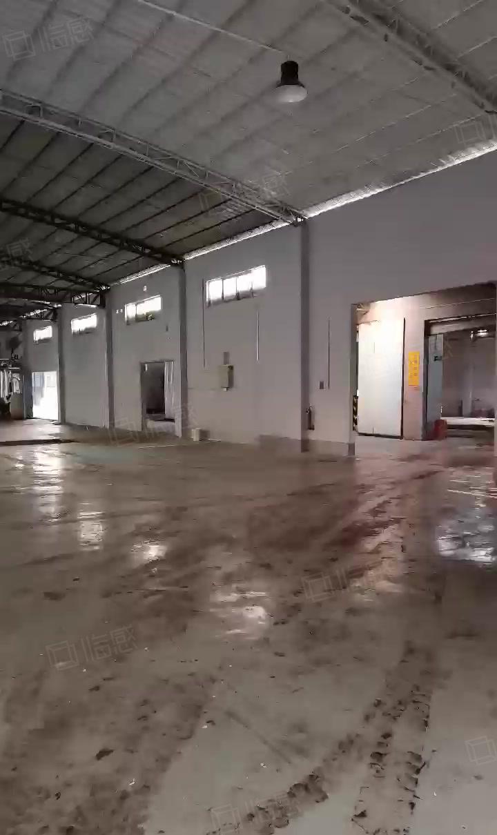 豪华独院钢构厂房仓库9米高10000方宿舍办公3500方急租