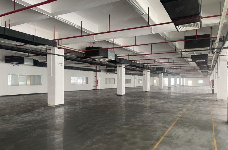 厚街 陈屋莞太路附近独门独院厂房21300平级装修空地大