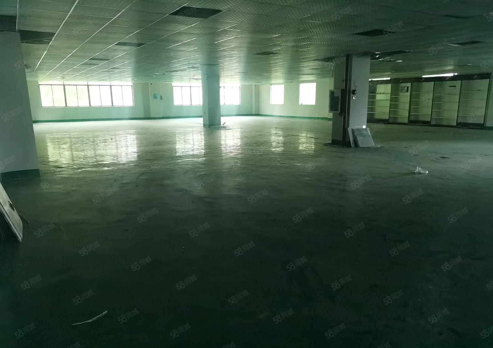 花园式厂房3000平整层招租 靠近高速路口，园区形象好