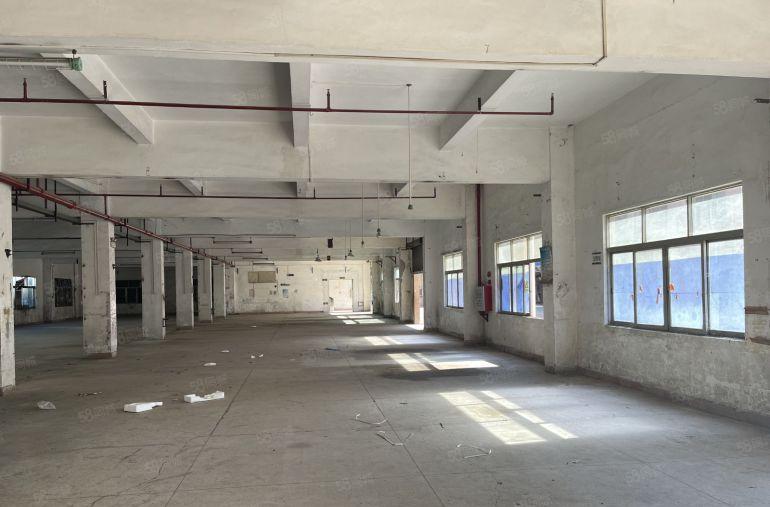 厚街新出原房东标准独院。周边没有居民工业用地形象好空地非常大