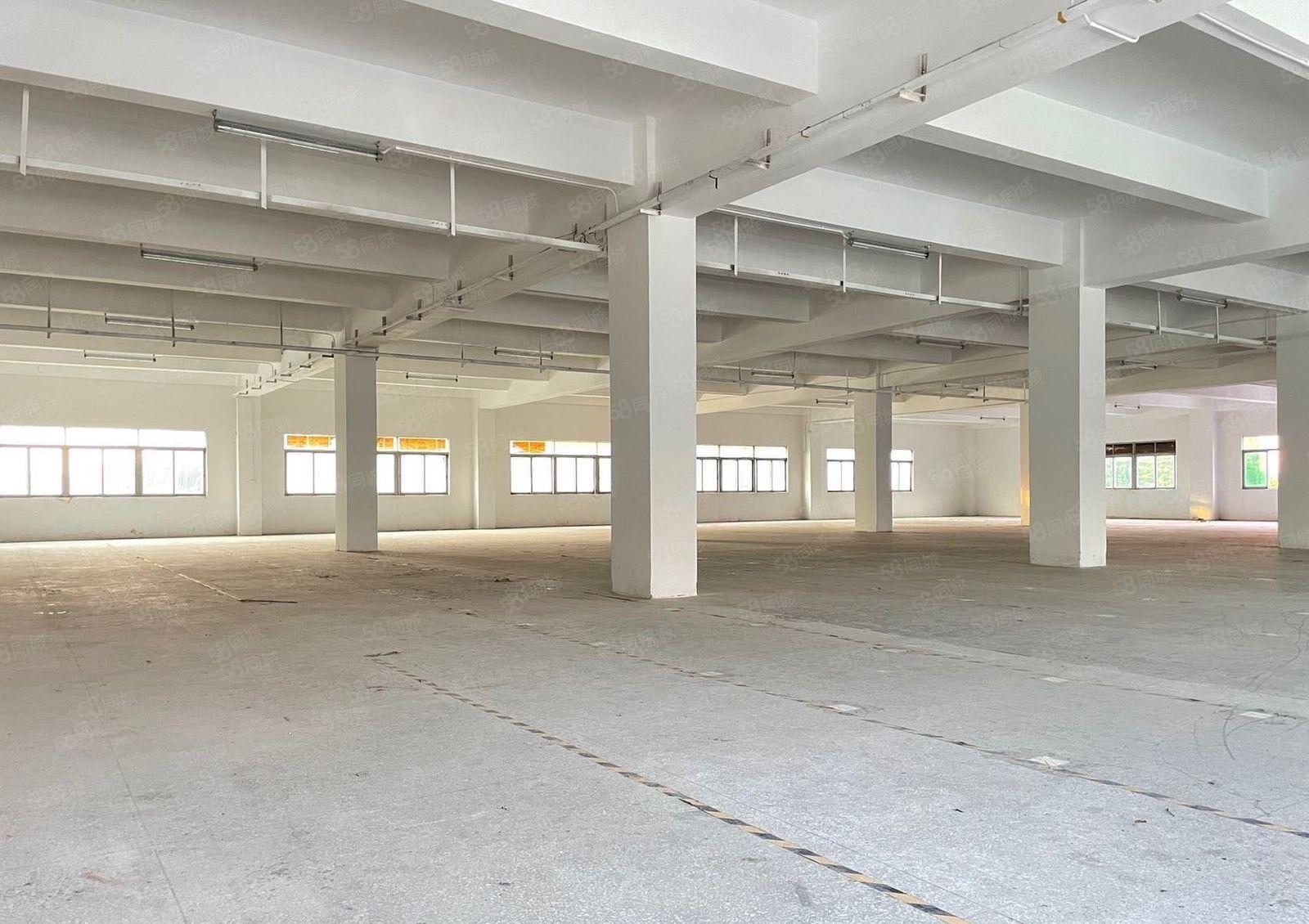 厚街独院两层共6000方厂房出租现成装修可分租