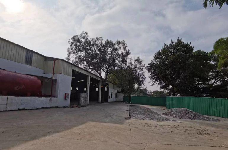 厚街镇原房东独院铁皮房1850平方空地大低价出租只要13块