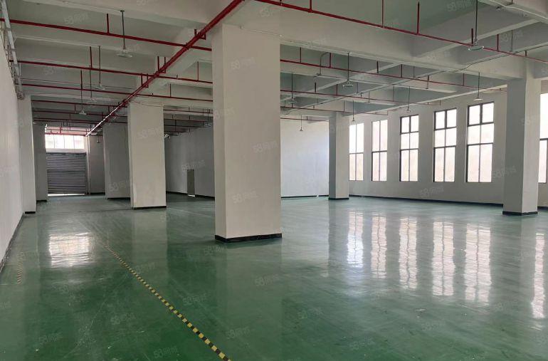 厚街全新重工业厂房整层楼上1200平形象好电梯大好停车