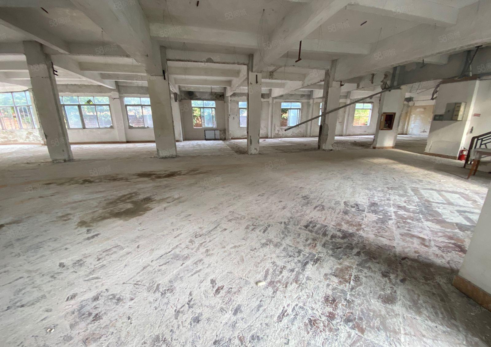 厚街独门独院13000房原房东厂房超大空地