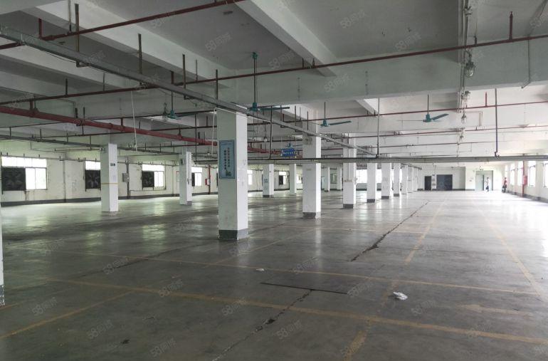 原房东独院1500平方 可做五金压铸注塑机械设备等行业