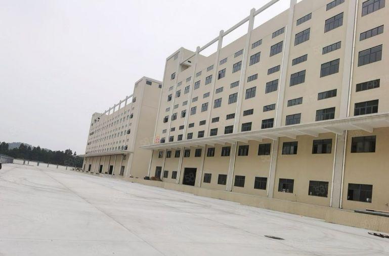 厚街新出原房东全新厂房15000平米，带卸货平台，滴水9米