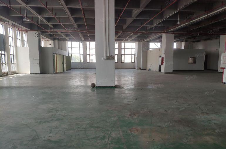 可分租！厚街重工业楼上1500平厂房出租主线到车间注塑行业