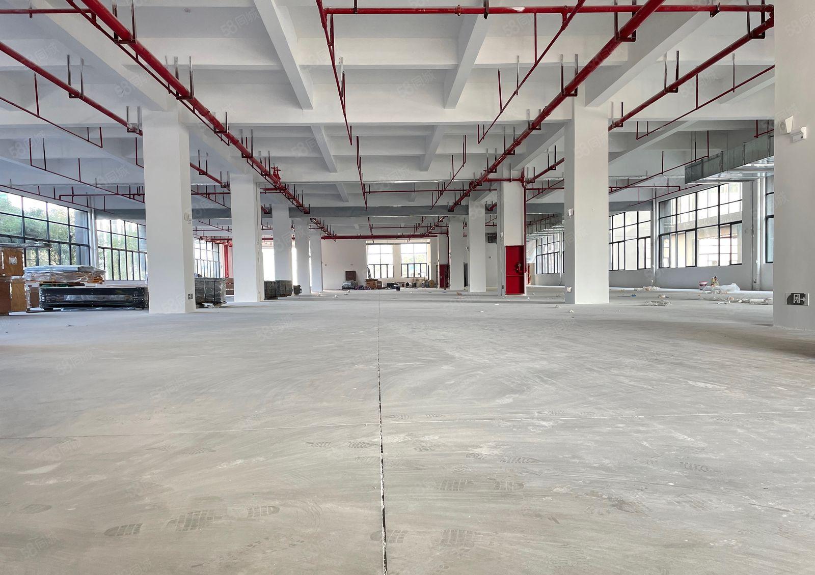 厚街全新独院高新产业园13000方厂房出租配套齐全合同十年