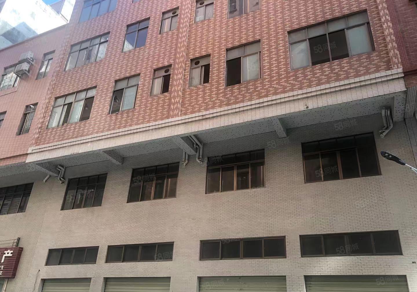 厚街全新原房东一楼240方出租带阁楼