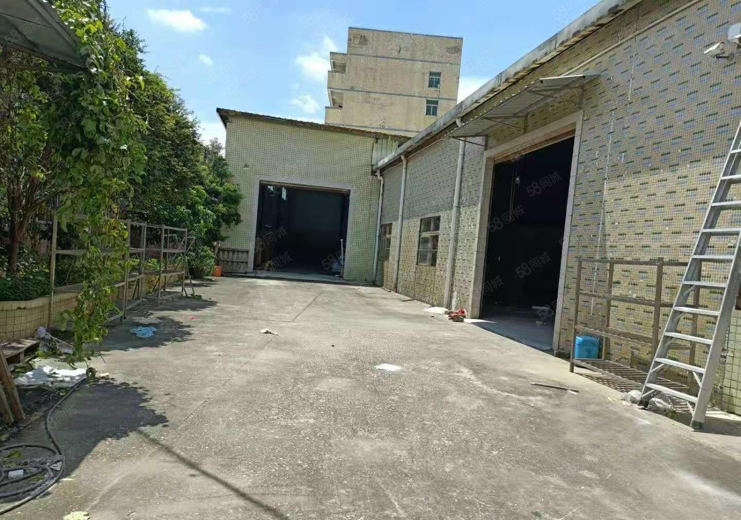 厚街新出独院单一层钢构厂房出租800平，超大空地适合任何行业