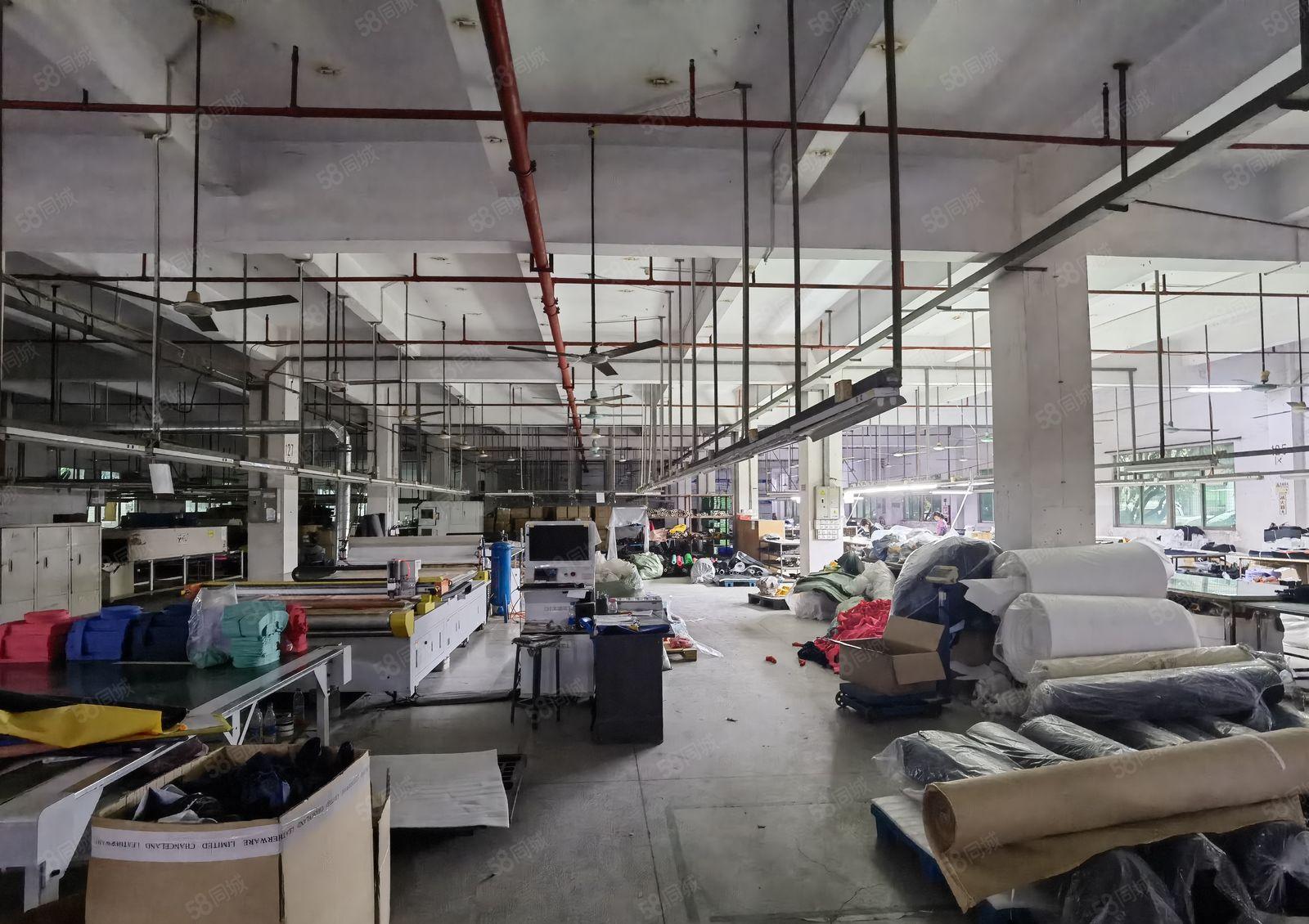 厚街超靓独院一楼5200方厂房仓库急租可分租