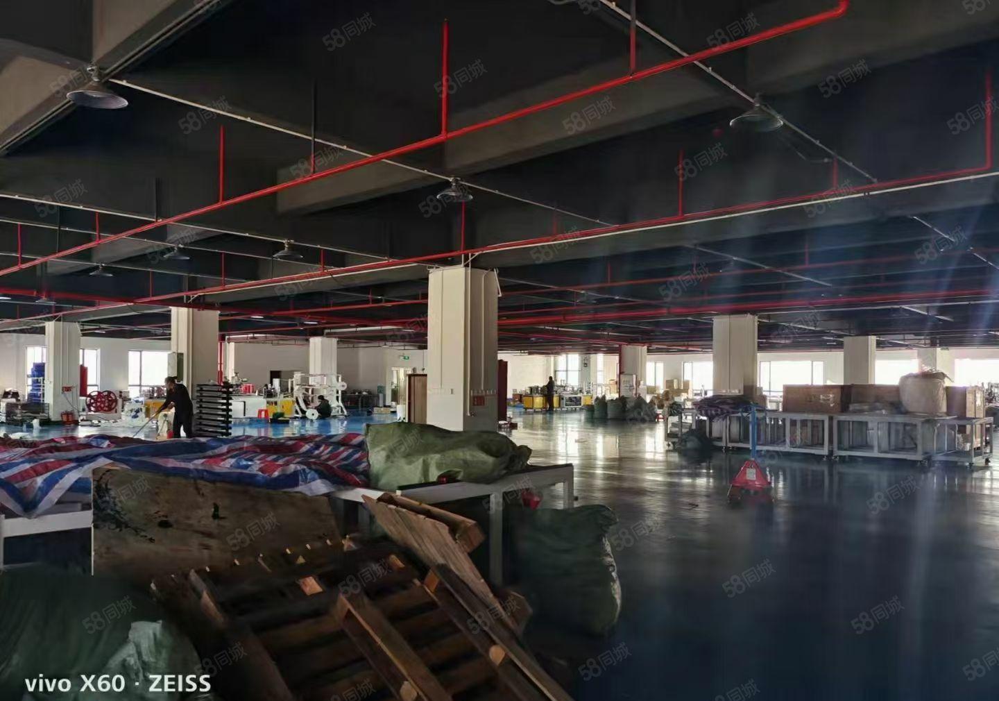 厚街镇标准厂房（独门独院）