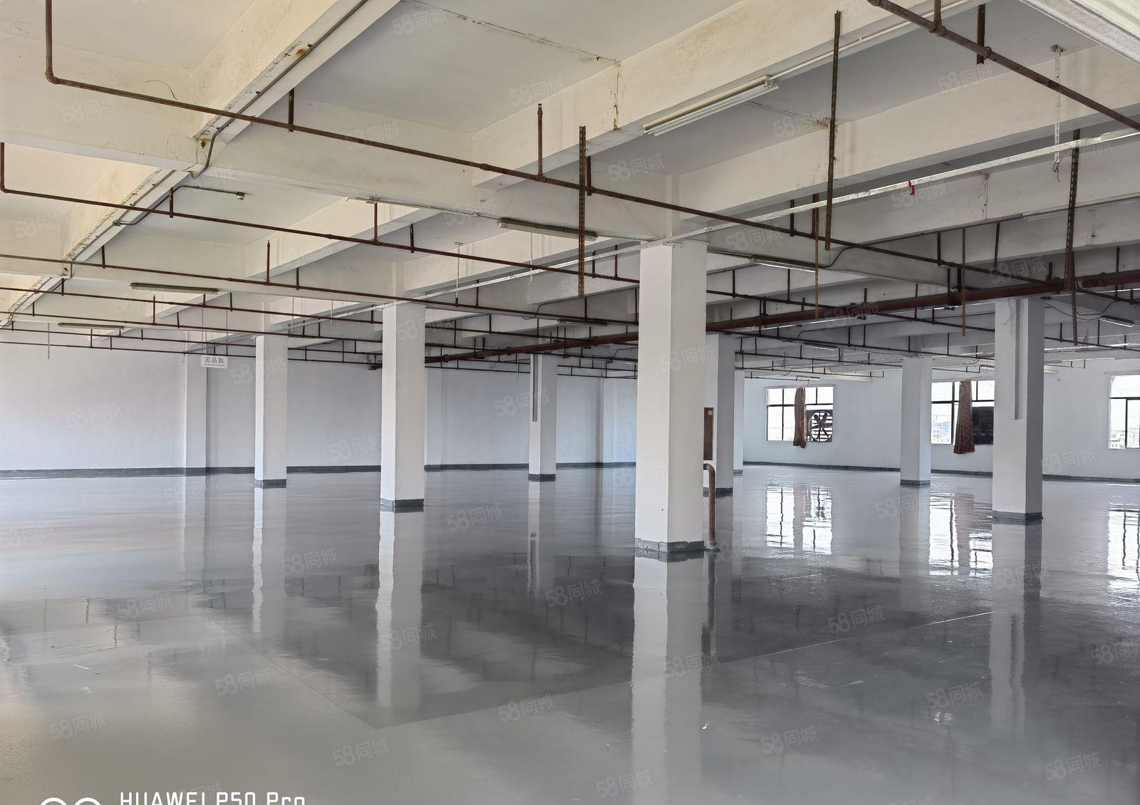 3层4000平独院厂房形象好莞太路边 交通方便 工业用地