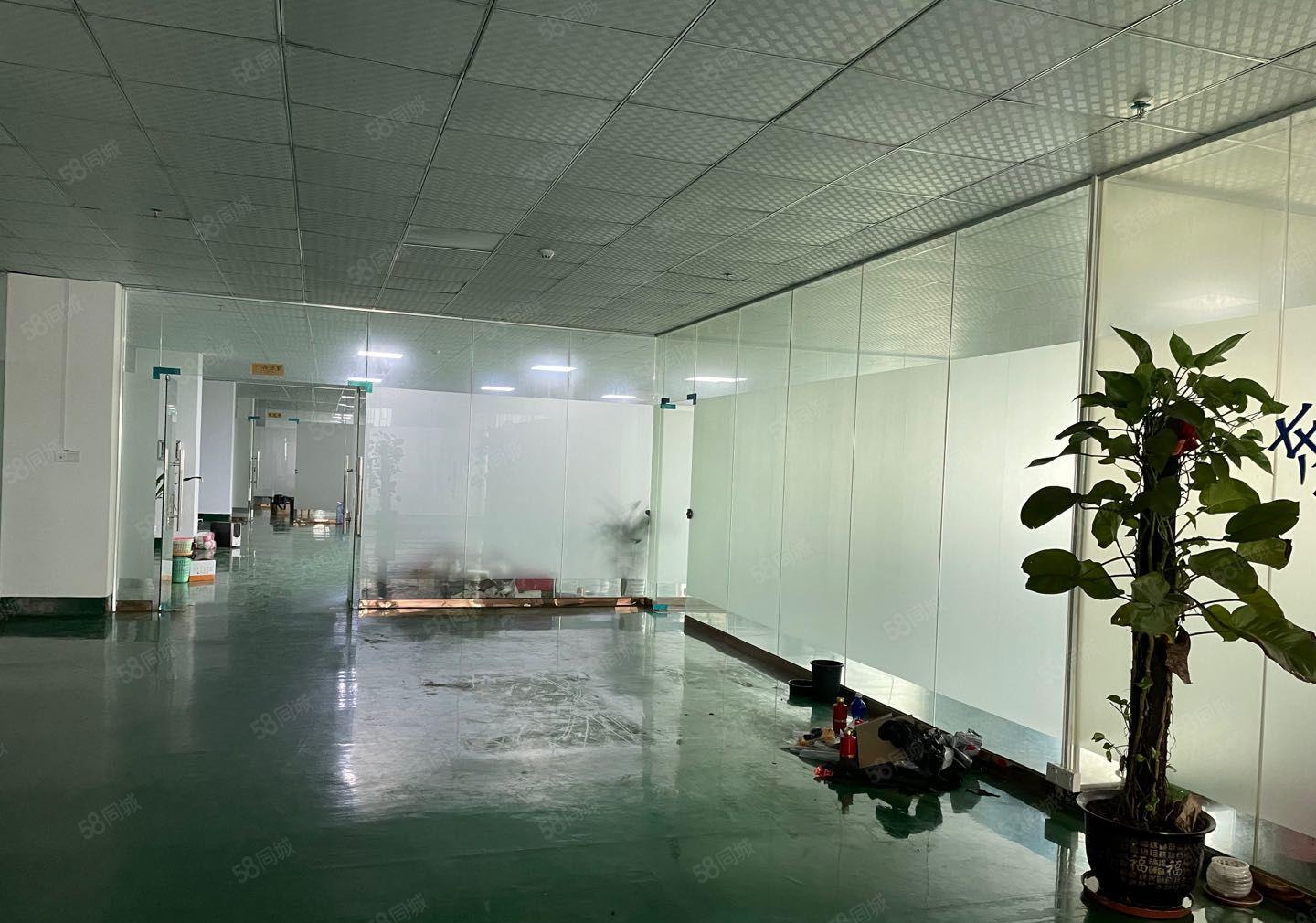 厚街镇原房河田新出厂房6900平方  可按需分租  超大空地