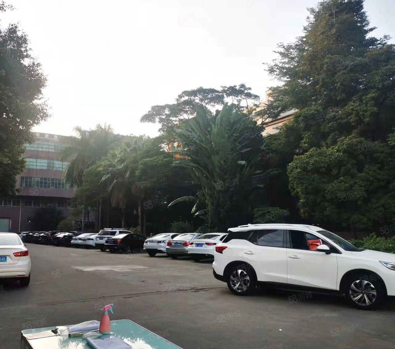 原房东实际面积厚街独院27000平米精装修红本厂房出租空地大