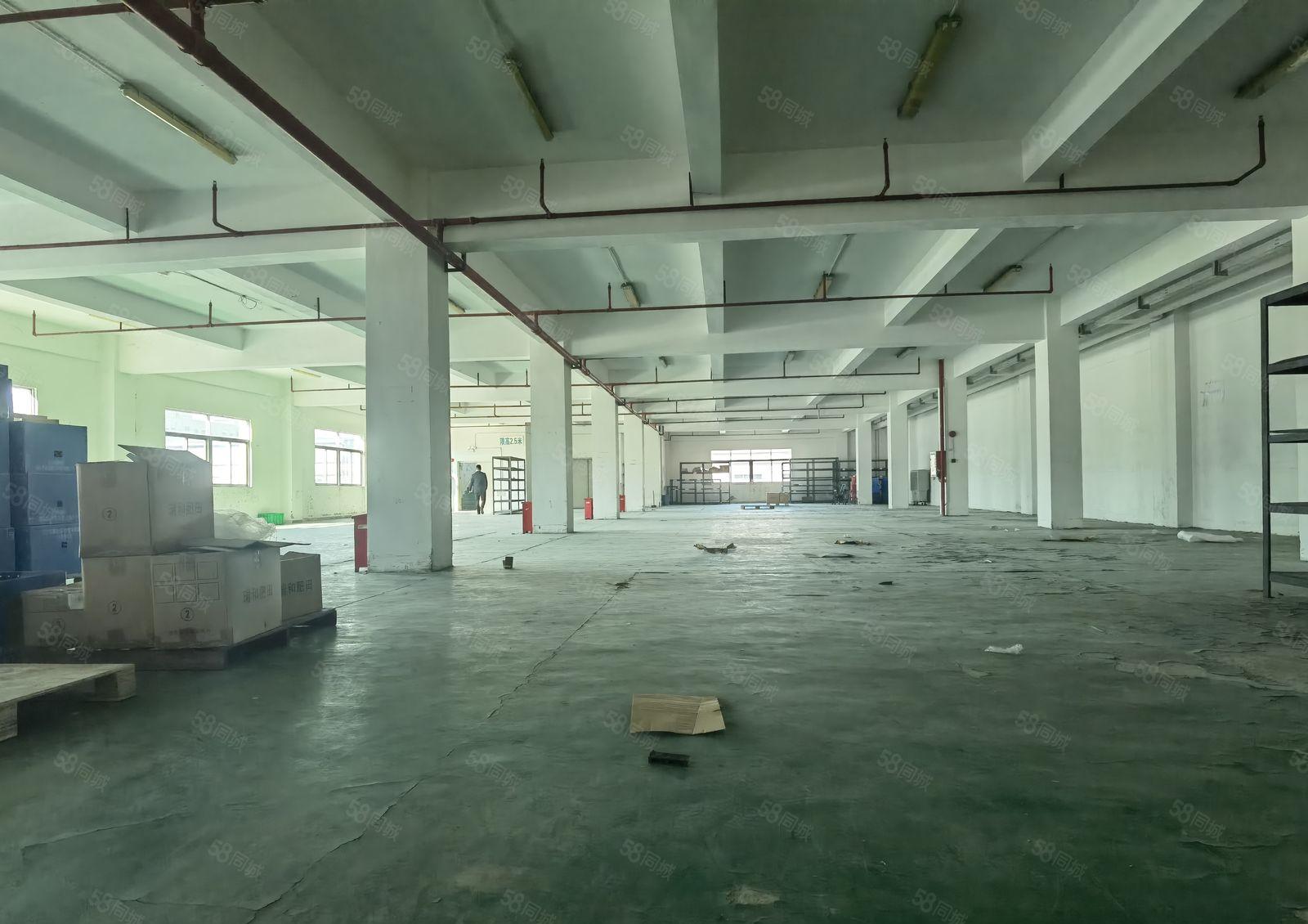 厚街经典独院厂房仓库三层8000方急租