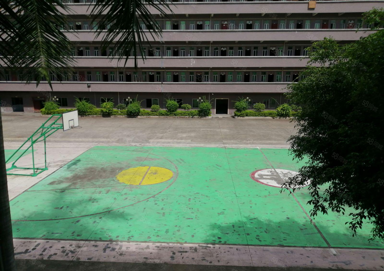 花园式独门独院带现成家具环评环保厂房，现成油房喷漆房。